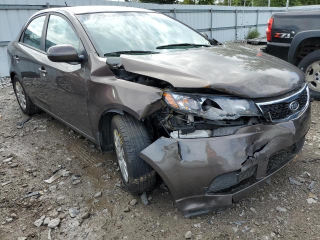 KNAFU4A21D5730608 - 2013 KIA FORTE EX BROWN photo 1