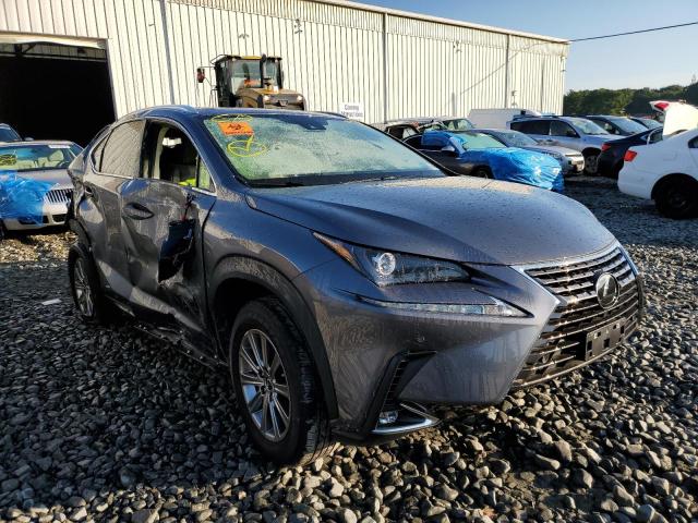 JTJDARDZ3M2262923 - 2021 LEXUS NX 300 BAS 石墨色 照片 1