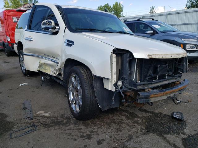 1GYFK26239R142581 - 2009 CADILLAC ESCALADE E CREAM photo 1