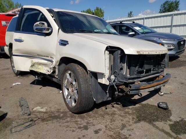 1GYFK26239R142581 - 2009 CADILLAC ESCALADE E CREAM photo 9