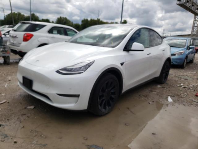 5YJYGDEE4MF111748 - 2021 TESLA MODEL Y Blanc photo 2