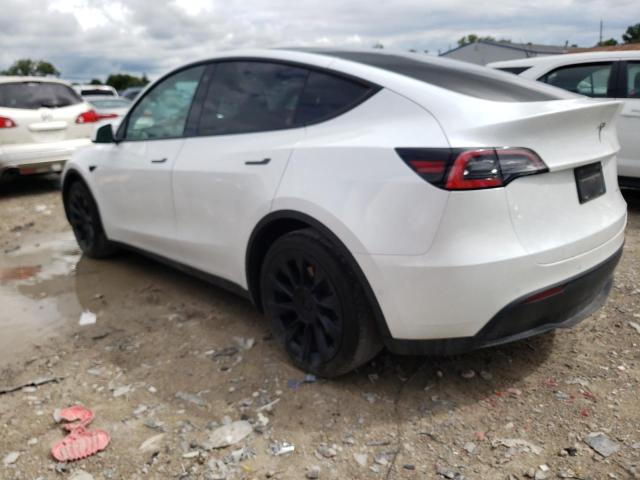 5YJYGDEE4MF111748 - 2021 TESLA MODEL Y Blanc photo 3