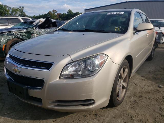 1G1ZC5E1XBF109670 - 2011 CHEVROLET MALIBU 1LT 米色 照片 2