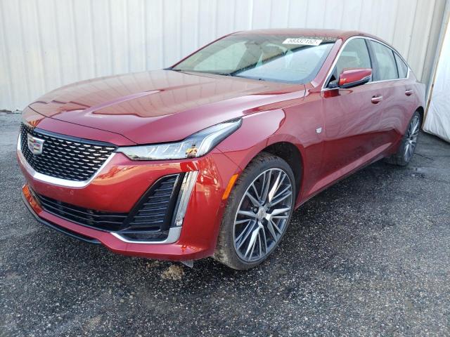 1G6DN5RW7M0131765 - 2021 CADILLAC CT5 PREMIU RED photo 2