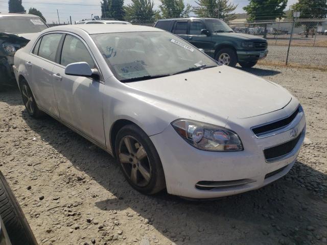 1G1ZC5E11BF371321 - 2011 CHEVROLET MALIBU 1LT 白色 照片 1