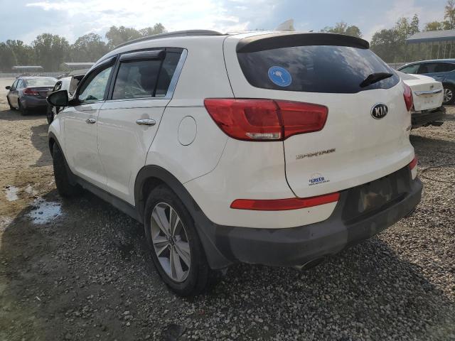 KNDPC3A68E7589419 - 2014 KIA SPORTAGE S WHITE photo 3