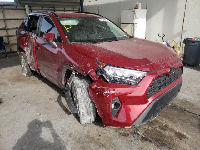 2T3C1RFVXKW024063 - 2019 TOYOTA RAV4 XLE P RED photo 1