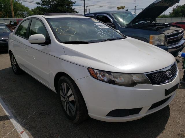 KNAFU4A24D5668766 - 2013 KIA FORTE EX WHITE photo 1