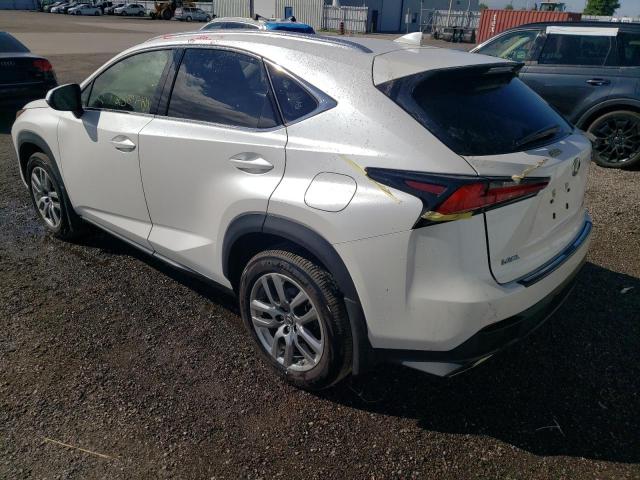 JTJGARDZ3M5026431 - 2021 LEXUS NX 300 WHITE photo 3