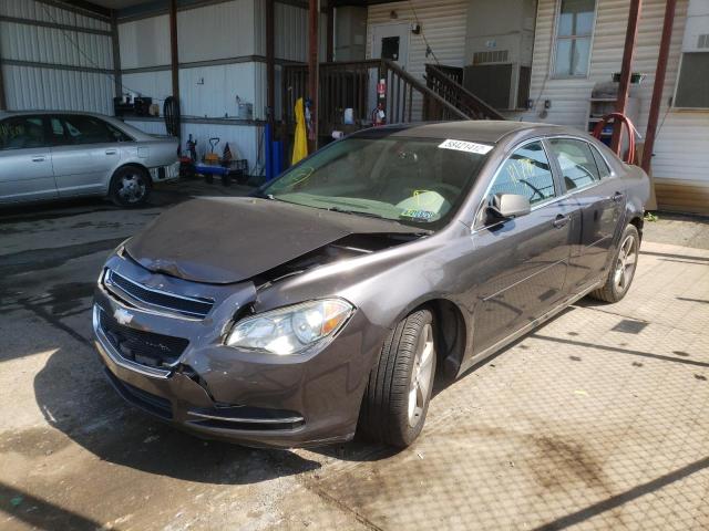 1G1ZC5E10BF167027 - 2011 CHEVROLET MALIBU 1LT 灰色 照片 2