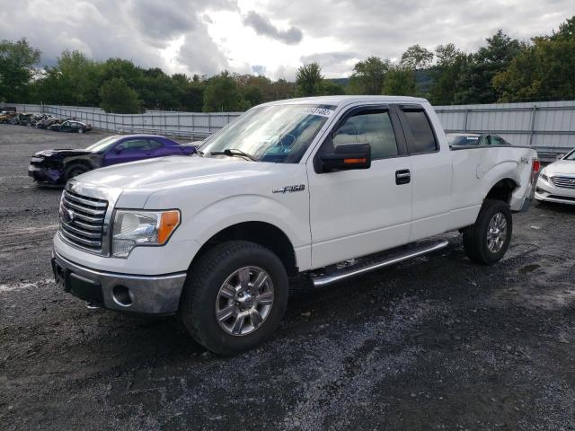 1FTFX1EF8CFC52279 - 2012 FORD F150 SUPER CAB  photo 2