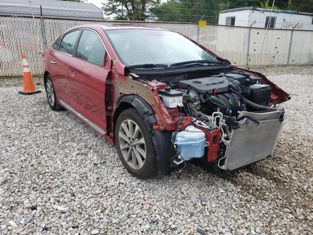 5NPE34AF4HH566331 - 2017 HYUNDAI SONATA SPORT  photo 1