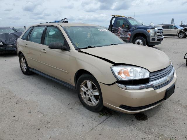 1G1ZT62895F166146 - 2005 CHEVROLET MALIBU MAX 金色 照片 1