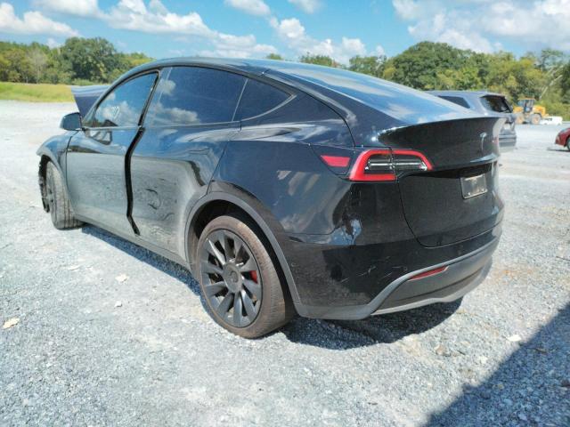 5YJYGDEE4MF242839 - 2021 TESLA MODEL Y أسود صورة 3