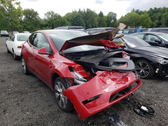 5YJYGAEEXMF223193 - 2021 TESLA MODEL Y Rouge photo 1