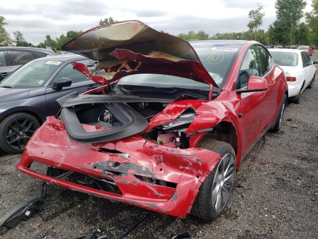 5YJYGAEEXMF223193 - 2021 TESLA MODEL Y Rouge photo 2