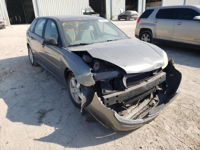 1G1ZT64884F182480 - 2004 CHEVROLET MALIBU MAX GRAY photo 1