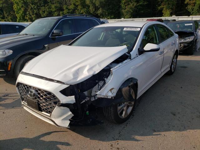 5NPE34AF6KH735529 - 2019 HYUNDAI SONATA LIM WHITE photo 2