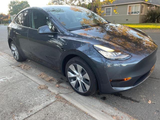 7SAYGDEE2NF359386 - 2022 TESLA MODEL Y رمادي صورة 1