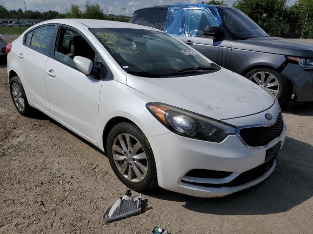 KNAFX4A61E5140162 - 2014 KIA FORTE LX WHITE photo 1