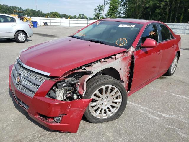 1G6DJ5EGXA0113962 - 2010 CADILLAC CTS PERFOR ბურგუნდია ფოტო 2