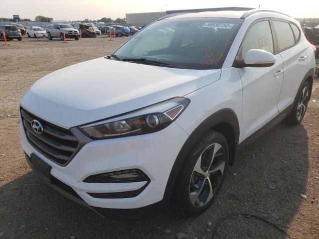 KM8J3CA29GU145579 - 2016 HYUNDAI TUCSON LIMITED  photo 2