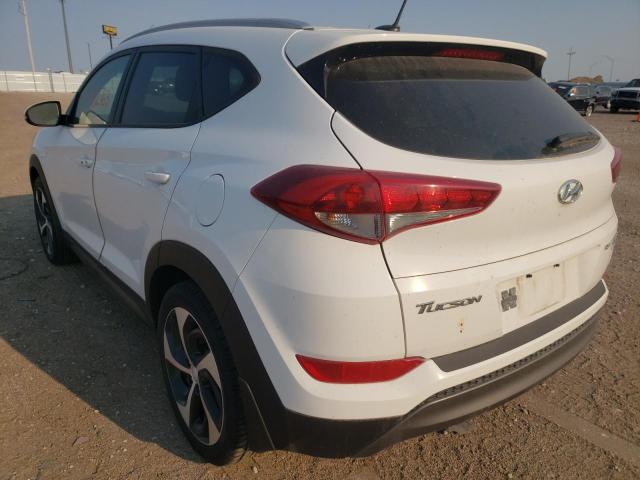 KM8J3CA29GU145579 - 2016 HYUNDAI TUCSON LIMITED  photo 3