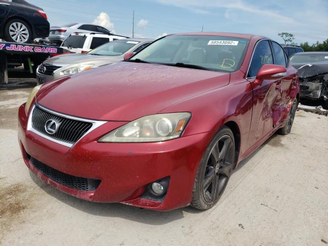 JTHBF5C22B5151346 - 2011 LEXUS IS 250 RED photo 2