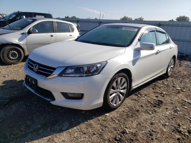 1HGCR2F8XFA206555 - 2015 HONDA ACCORD EXL WHITE photo 2