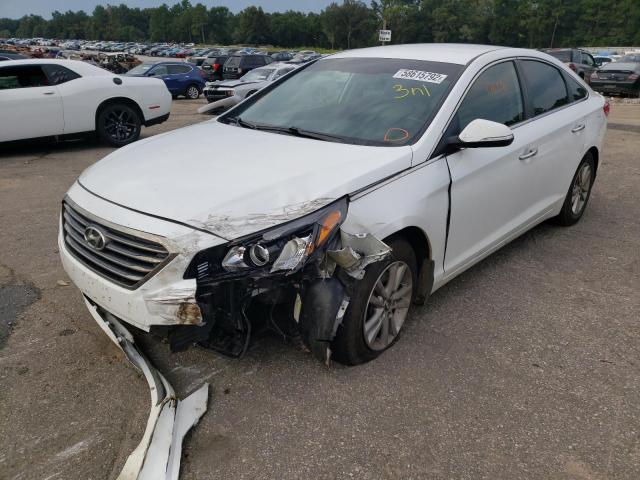 5NPE24AA4FH193473 - 2015 HYUNDAI SONATA ECO WHITE photo 2