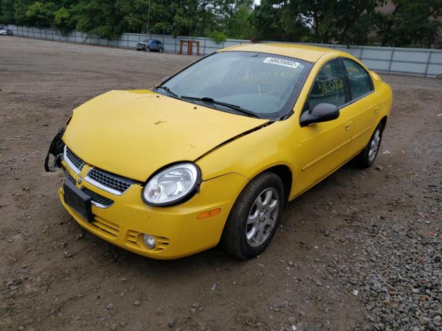 1B3ES56C14D521999 - 2004 DODGE NEON SXT YELLOW photo 2