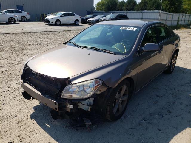 1G1ZC5E15BF360161 - 2011 CHEVROLET MALIBU 1LT ყავისფერი ფოტო 2