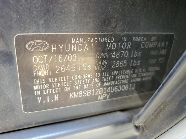 KM8SB12B14U630613 - 2004 HYUNDAI SANTA FE G BLUE photo 10