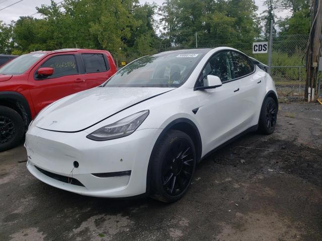 5YJYGDEE5MF111659 - 2021 TESLA MODEL Y أبيض صورة 2