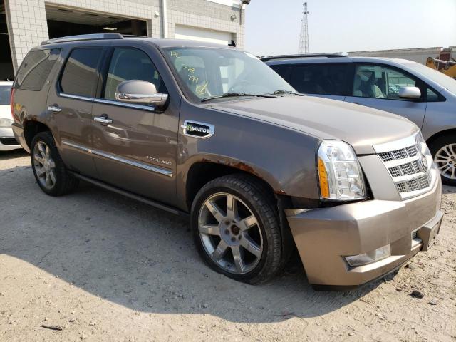 1GYS4FEJ3BR322416 - 2011 CADILLAC ESCALADE P BROWN photo 1