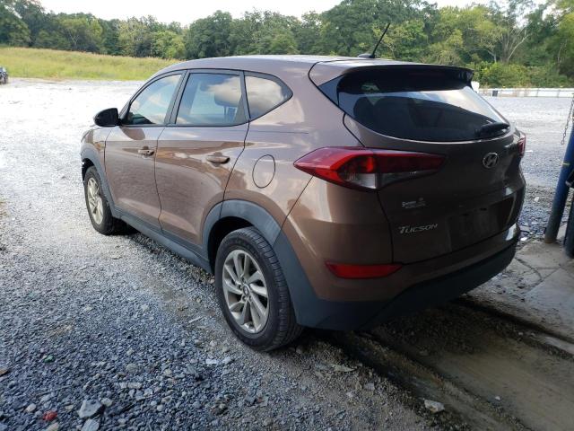 KM8J23A42GU221227 - 2016 HYUNDAI TUCSON SE BROWN photo 3