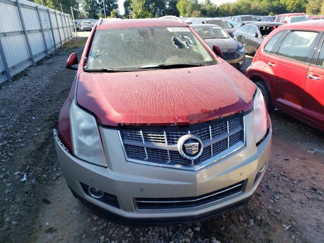 3GYFNBEY4AS628671 - 2010 CADILLAC SRX PERFOR RED photo 9