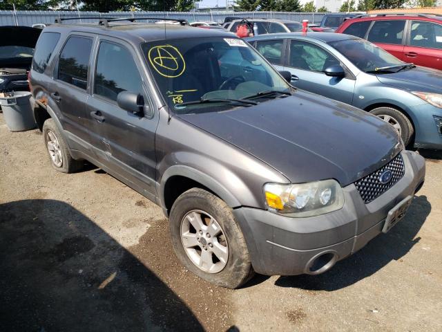 1FMYU03136KB85827 - 2006 FORD ESCAPE XLT GRAY photo 1