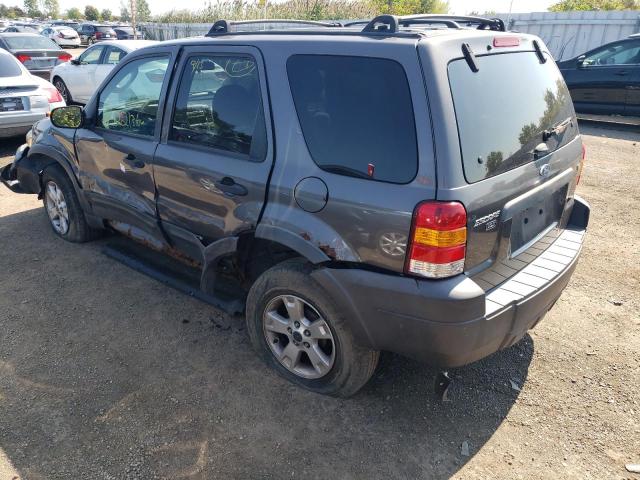 1FMYU03136KB85827 - 2006 FORD ESCAPE XLT GRAY photo 3