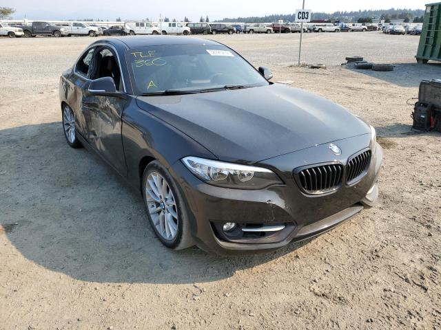WBA1F5C51GV343840 - 2016 BMW 228 I Siyah fotoğraf 1