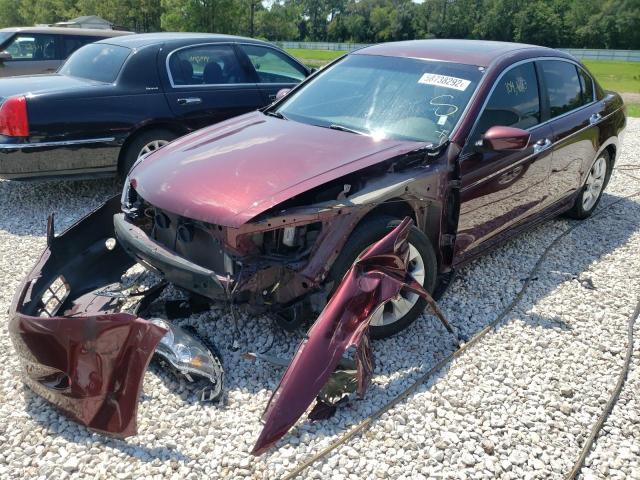 1HGCP36889A042139 - 2009 HONDA ACCORD EXL MAROON photo 2