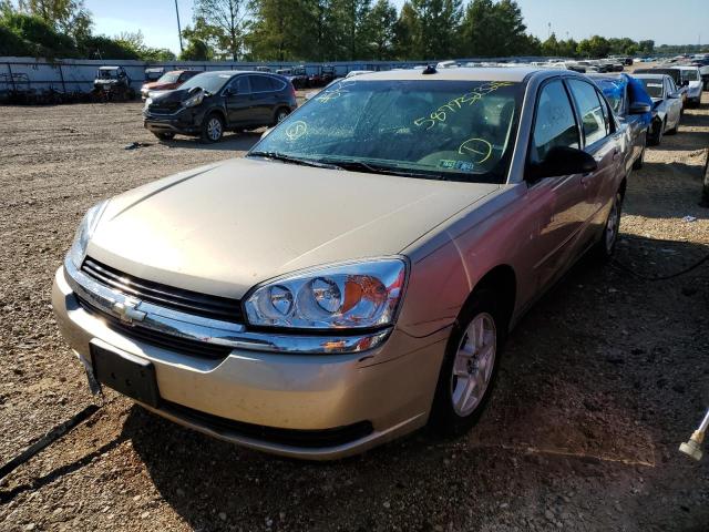 1G1ZT54895F286844 - 2005 CHEVROLET MALIBU LS TAN photo 2