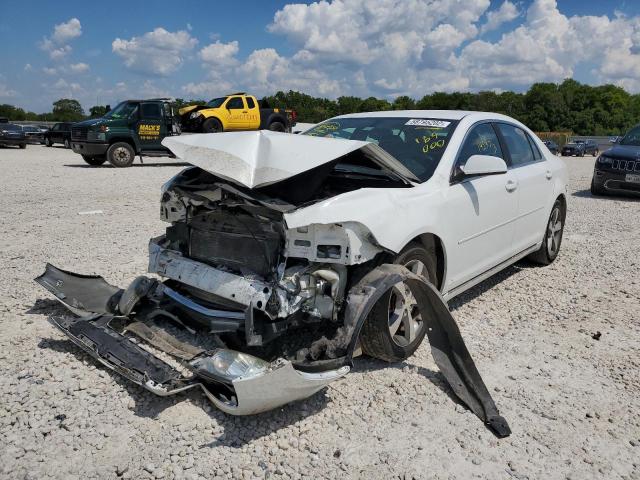 1G1ZC5E11BF169000 - 2011 CHEVROLET MALIBU 1LT თეთრი ფოტო 2