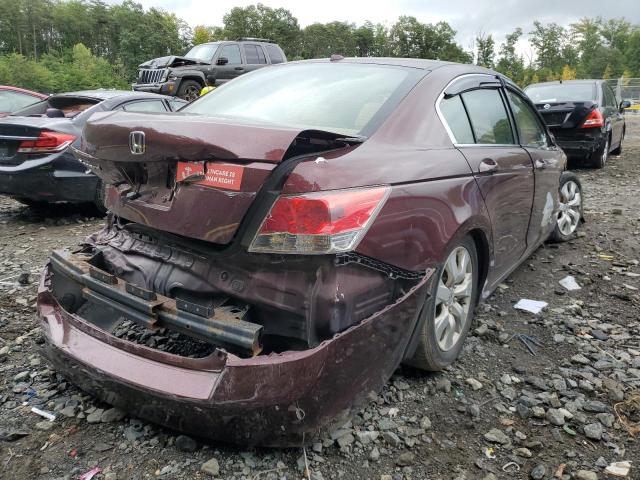 JHMCP26888C070324 - 2008 HONDA ACCORD EXL BURGUNDY photo 4