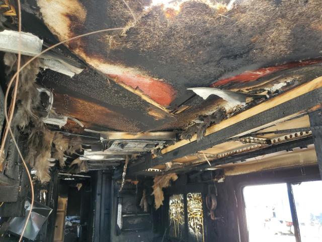 1RF42464432020394 - 2003 ROADMASTER RAIL MONOCOQUE كستنائي صورة 9