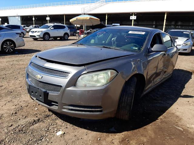 1G1ZC5EB0AF255101 - 2010 CHEVROLET MALIBU 1LT  photo 2