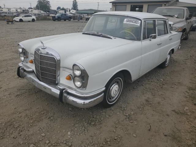 11101210156288 - 1965 MERCEDES-BENZ 220 S WHITE photo 2