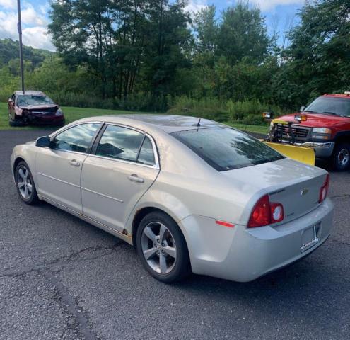 1G1ZC5EU5BF275430 - 2011 CHEVROLET MALIBU 1LT თაფლისფერი ფოტო 3