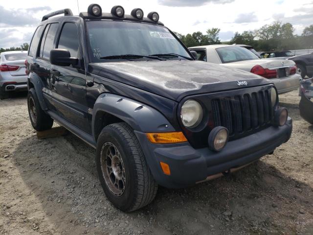 1J4GK38K25W576610 - 2005 JEEP LIBERTY RE Mavi foto 1