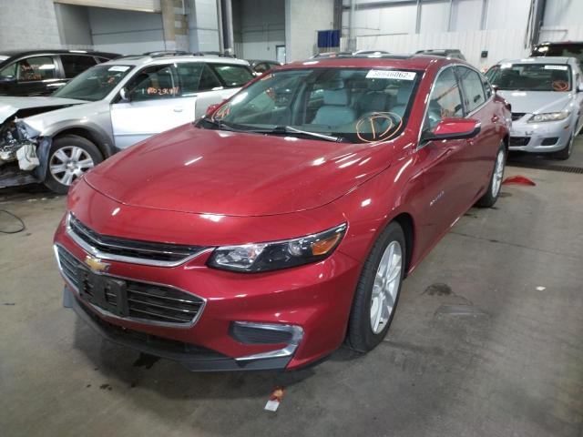 1G1ZJ5SU9GF317003 - 2016 CHEVROLET MALIBU HYB RED photo 2